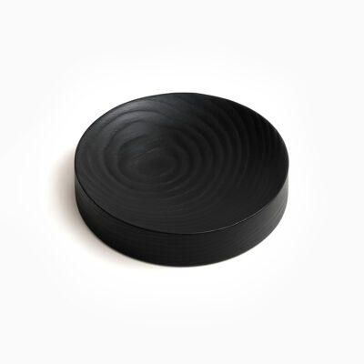 Darkwood | Vaciabolsillo