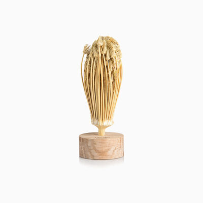 Rivsalt Toothpick | Palillos de dientes